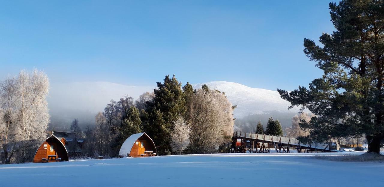Badaguish Forest Lodges And Camping Pods Aviemore Exterior foto